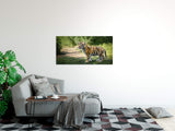 shutterstock_2031230507oaBnynNGrChA2_1280x1280.jpg