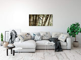 shutterstock_20951311PegxE5PTpO29i_1280x1280.jpg