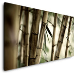 shutterstock_20951311RQlfctE5lMi1D_1280x1280.jpg