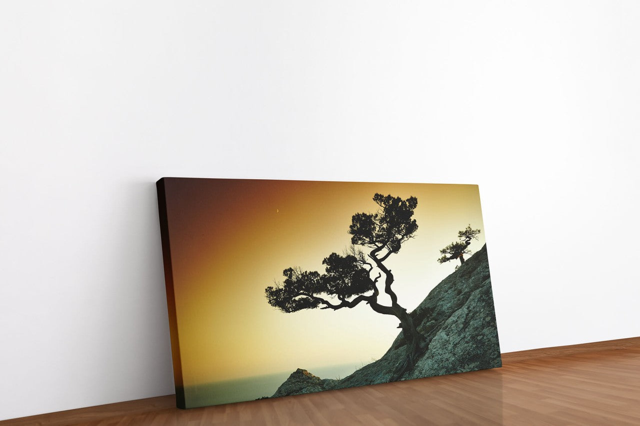 shutterstock_219150289MnlIKtqLFBKAm_1280x1280.jpg