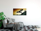 shutterstock_219150289Nl8a35QyQIpIA_1280x1280.jpg