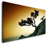 shutterstock_219150289lhNlYzvBsucBH_1280x1280.jpg