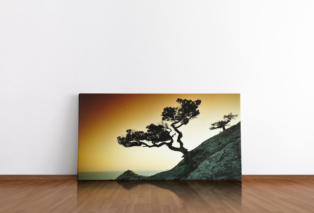 shutterstock_219150289saLbTuhASRDFN_1280x1280.jpg