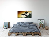 shutterstock_219150289we33YA0zgCCkY_1280x1280.jpg