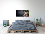 shutterstock_23092912691XghvGWdQeso_1280x1280.jpg