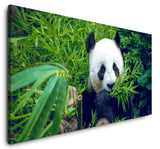 shutterstock_239618668CXMfz87qVj29X_1280x1280.jpg