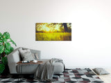 shutterstock_2558963500eO5VZwhysv5w_1280x1280.jpg