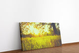 shutterstock_255896350QXNOCABxlQ1SP_1280x1280.jpg