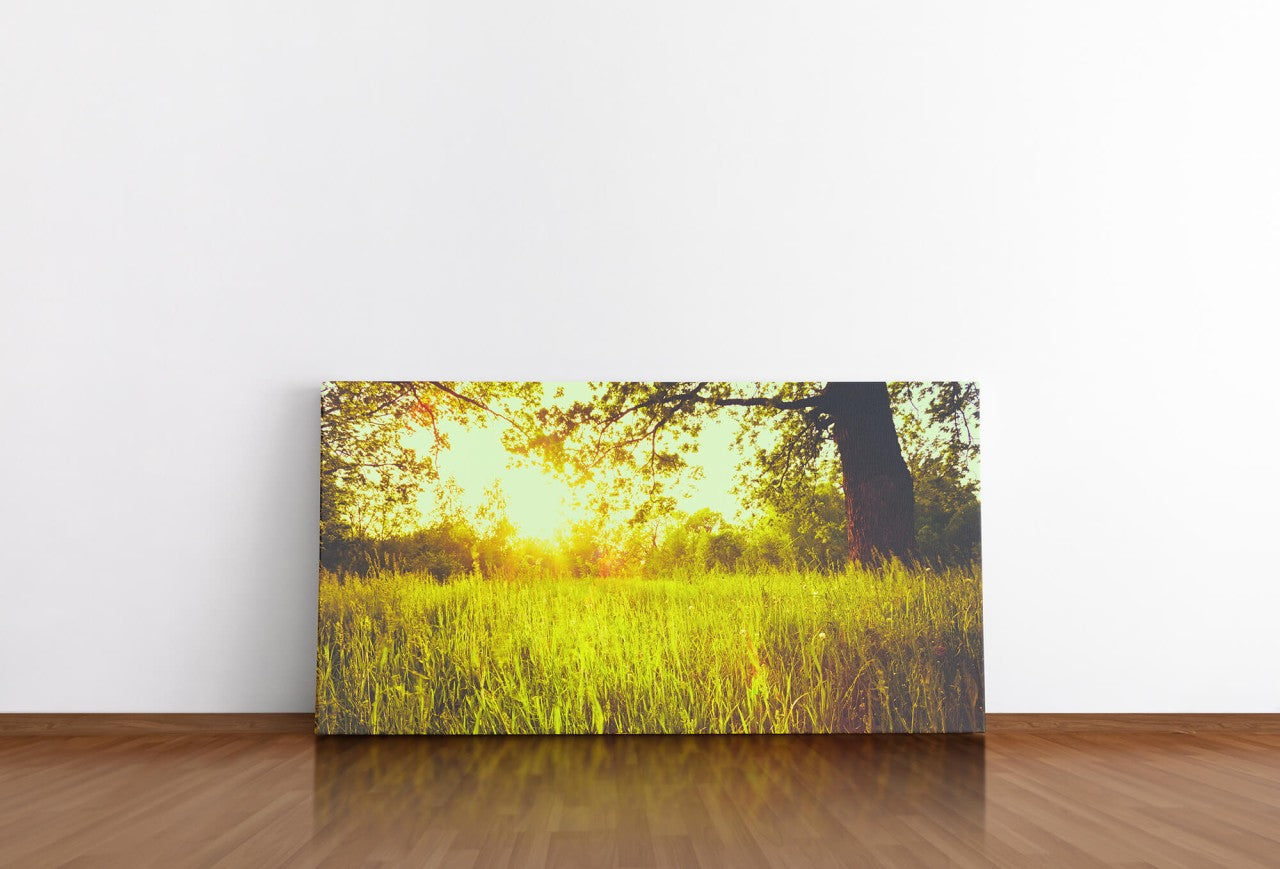 shutterstock_255896350rVGhFBLhZ0NeP_1280x1280.jpg