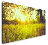 shutterstock_255896350ydYQiUfcSbcVu_1280x1280.jpg