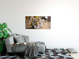 shutterstock_265645655RKBJQrYqOXVcV_1280x1280.jpg