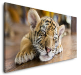 shutterstock_265645655pZtmx1zDKTpXc_1280x1280.jpg