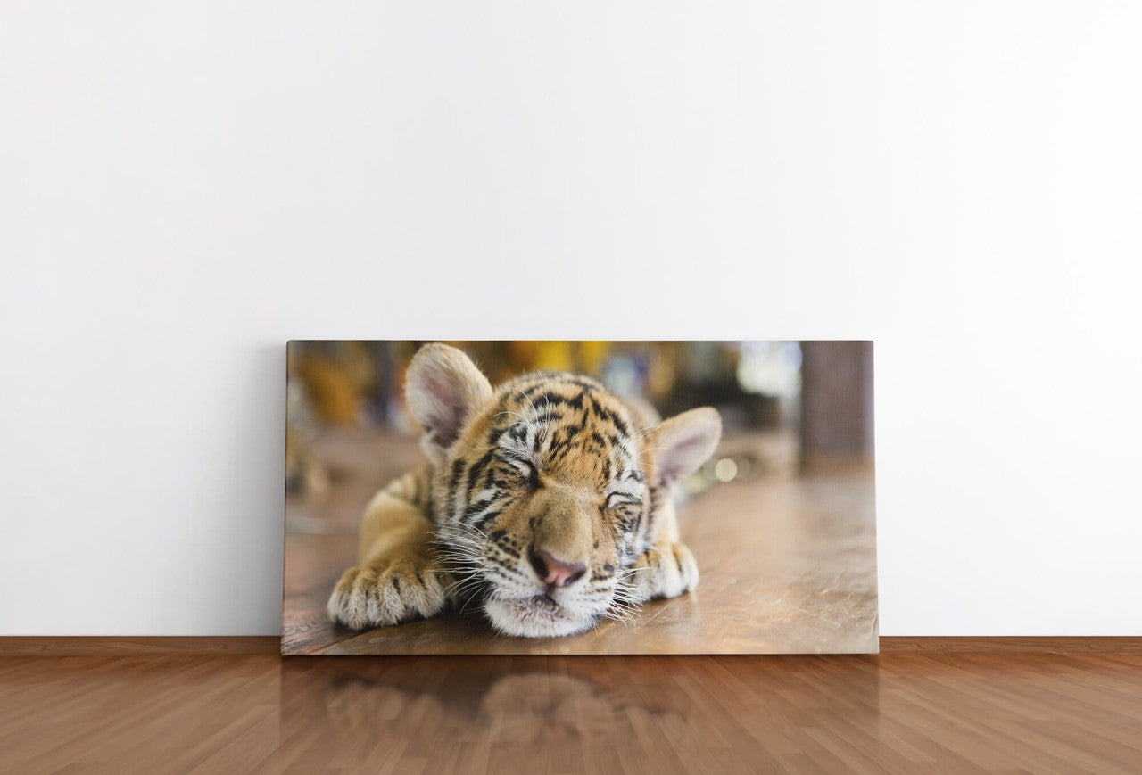 shutterstock_265645655pd7R5VVtsqkBi_1280x1280.jpg