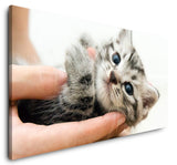 shutterstock_2837372097LRGzo0E7Mxmz_1280x1280.jpg