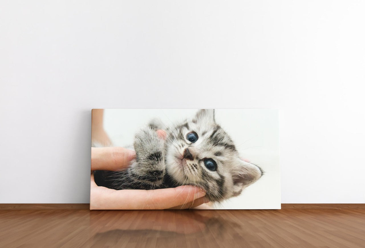 shutterstock_283737209Fk5wxTSb2QNem_1280x1280.jpg