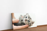 shutterstock_283737209GcRIOEgagjQbV_1280x1280.jpg