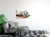 shutterstock_283737209Z3D134AOQPi0a_1280x1280.jpg