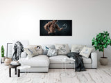 shutterstock_285173996DMiD40lXpmLGc_1280x1280.jpg