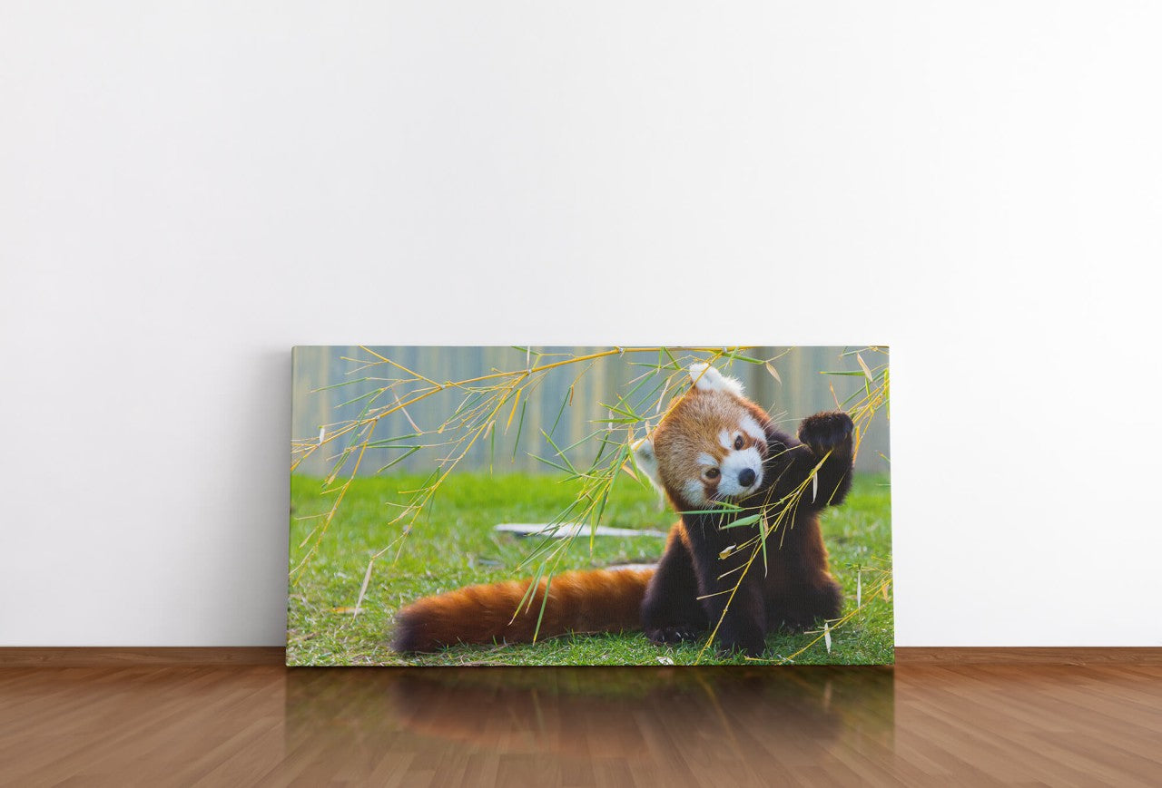 shutterstock_2978048300CqjfTIgzrQHn_1280x1280.jpg