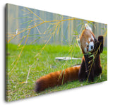shutterstock_2978048302qBGG84ia3FFI_1280x1280.jpg