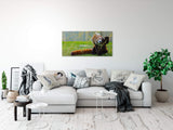 shutterstock_297804830bXHKe32t5zo2G_1280x1280.jpg