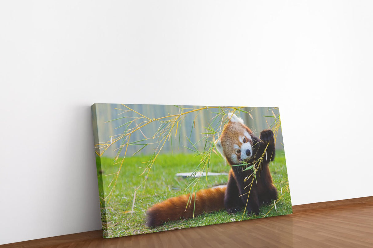shutterstock_297804830gr3d9qoQRzNHO_1280x1280.jpg