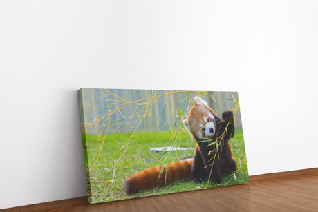 shutterstock_297804830gr3d9qoQRzNHO_1280x1280.jpg