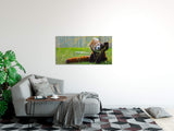 shutterstock_297804830tJdgWOMqxJ95n_1280x1280.jpg
