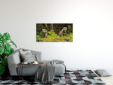 shutterstock_3100164989XLMD4I4chFcz_1280x1280.jpg