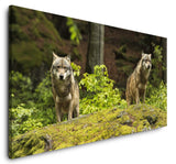 shutterstock_310016498jnMAYzhjmxu2D_1280x1280.jpg