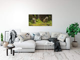 shutterstock_310016498nVLSLY52hlkRe_1280x1280.jpg