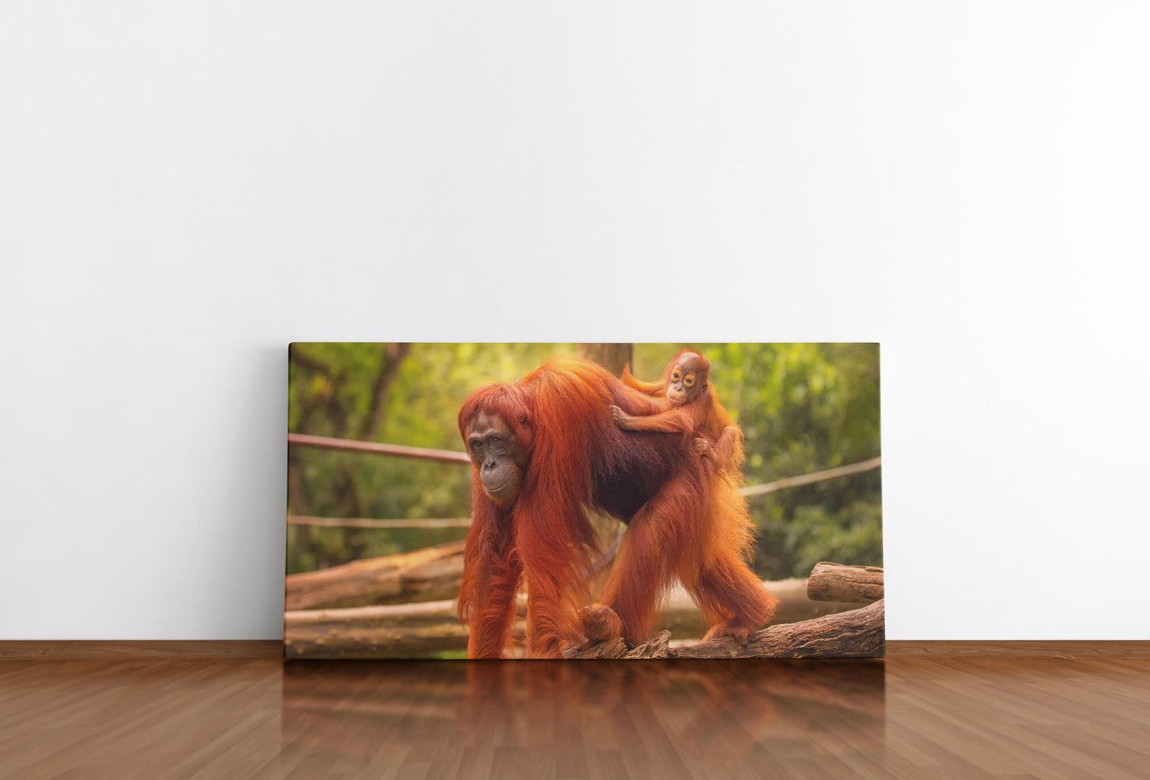 shutterstock_311420567W6mLNT1l3767F_1280x1280.jpg