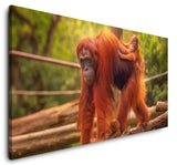 shutterstock_311420567w7aJIeyrZJwIC_1280x1280.jpg