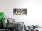 shutterstock_316149524JbFtFsxOXS6K0_1280x1280.jpg