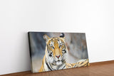 shutterstock_316149524XuIR9TVmKQDKG_1280x1280.jpg