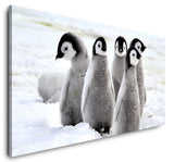 shutterstock_328830818W3wzSqMtnqe7f_1280x1280.jpg