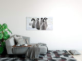 shutterstock_328830818qpldmjm4oVvhV_1280x1280.jpg