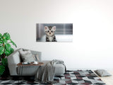 shutterstock_3521763298nEFK8xWnzYaG_1280x1280.jpg