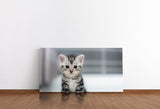 shutterstock_352176329VG7cOPOQqEvoO_1280x1280.jpg
