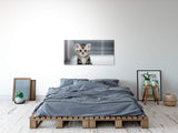 shutterstock_352176329Z5KNO3mZmvXTY_1280x1280.jpg