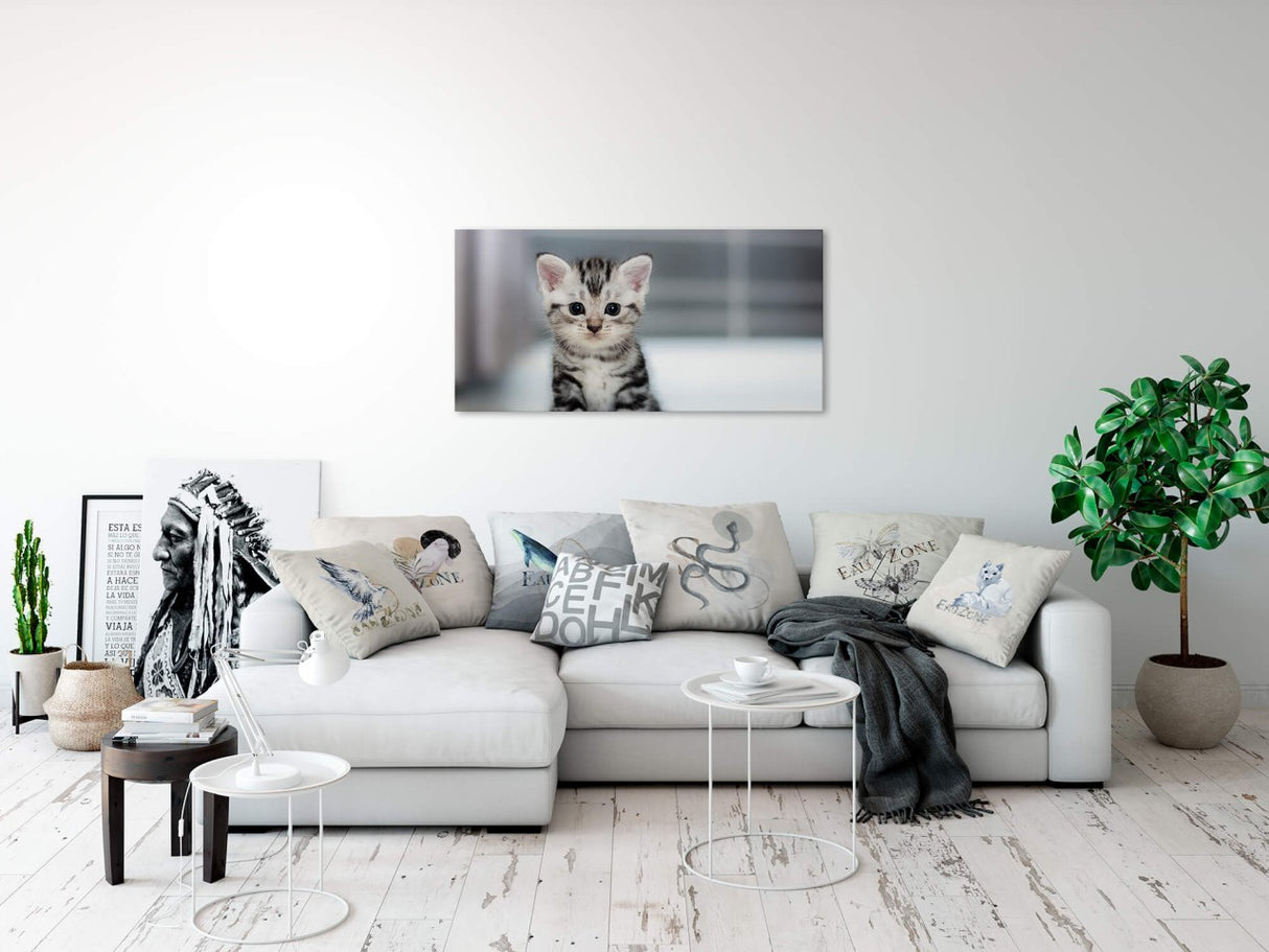 shutterstock_352176329pnQcedpZFIvIf_1280x1280.jpg