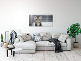 shutterstock_352176329pnQcedpZFIvIf_1280x1280.jpg