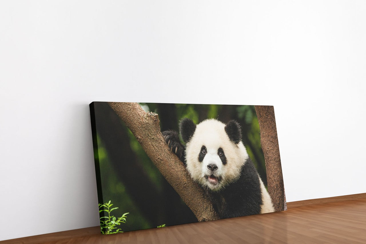 shutterstock_3691969917HP0NEptwIele_1280x1280.jpg