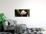 shutterstock_369196991GHxjJLCxMP9Q5_1280x1280.jpg