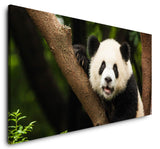 shutterstock_369196991TvhI9Y0TLsGPr_1280x1280.jpg