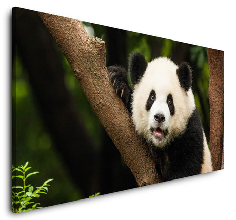 shutterstock_369196991TvhI9Y0TLsGPr_1280x1280.jpg