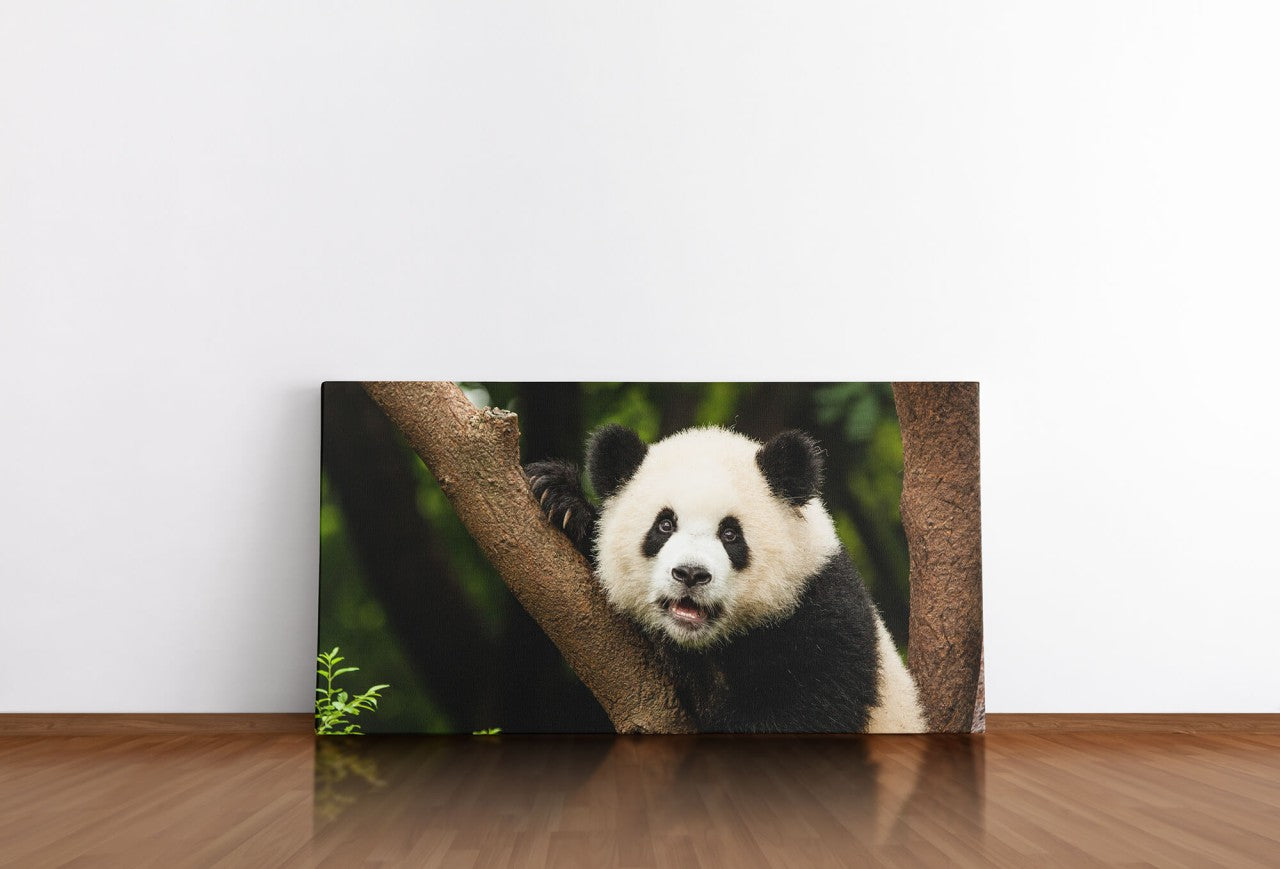 shutterstock_369196991hBXrNCnDv5vBM_1280x1280.jpg
