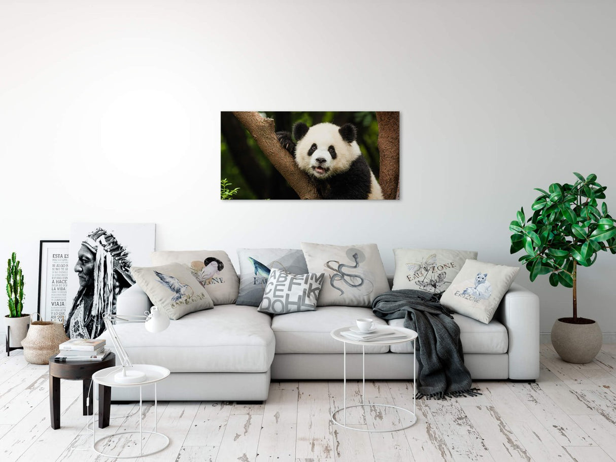 shutterstock_369196991iUgDfiq0X2yFt_1280x1280.jpg