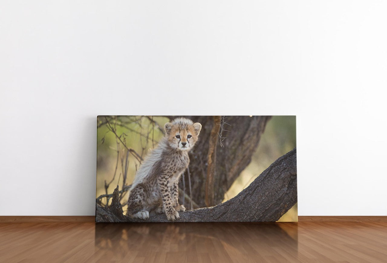 shutterstock_3702719279cVP2LNxHMmbR_1280x1280.jpg