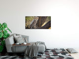 shutterstock_370271927RrpEZBbU1apcc_1280x1280.jpg